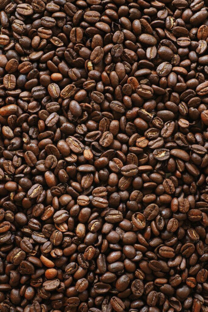 El viaje del café: de Oaxaca a tu taza