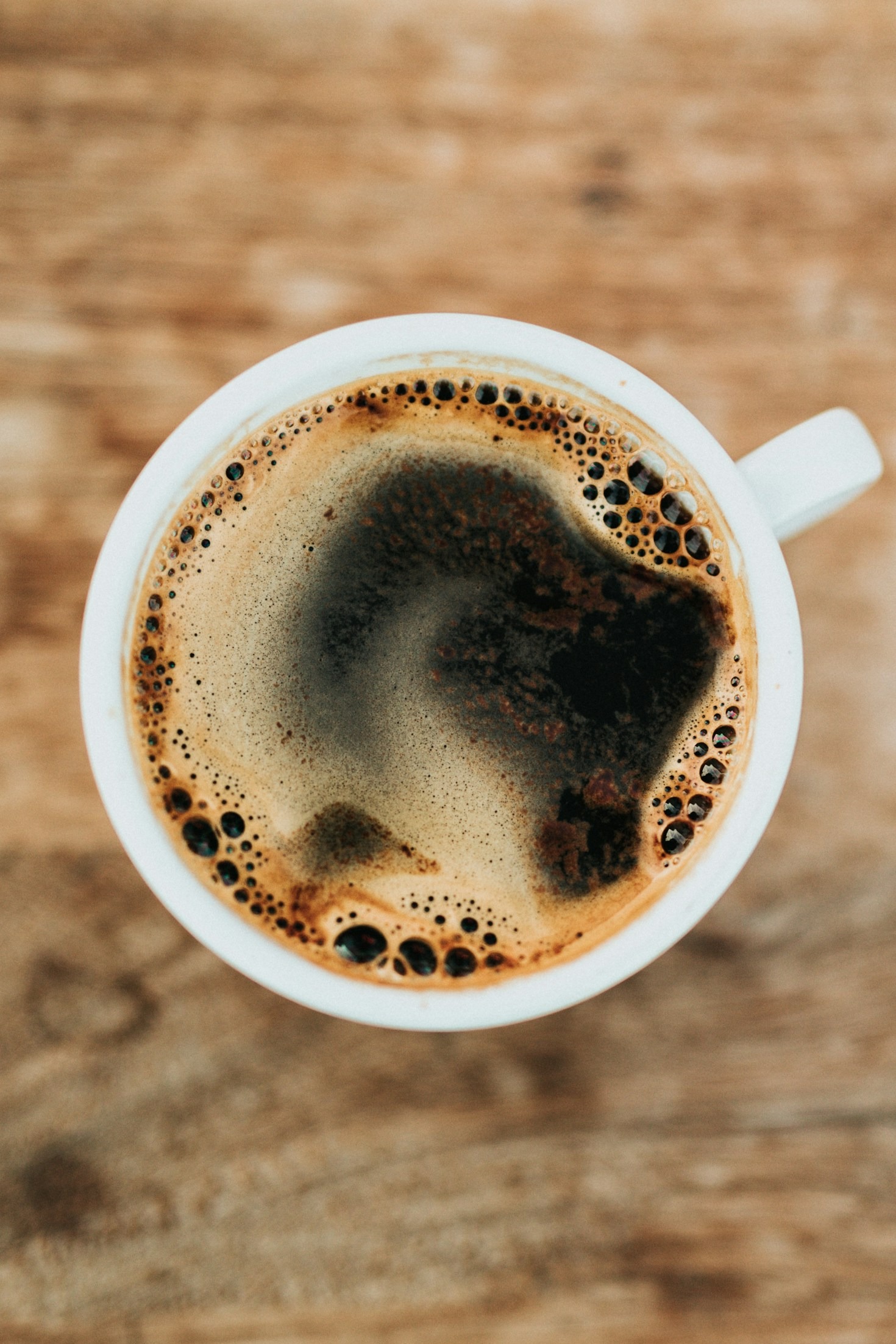 El viaje del café: de Oaxaca a tu taza