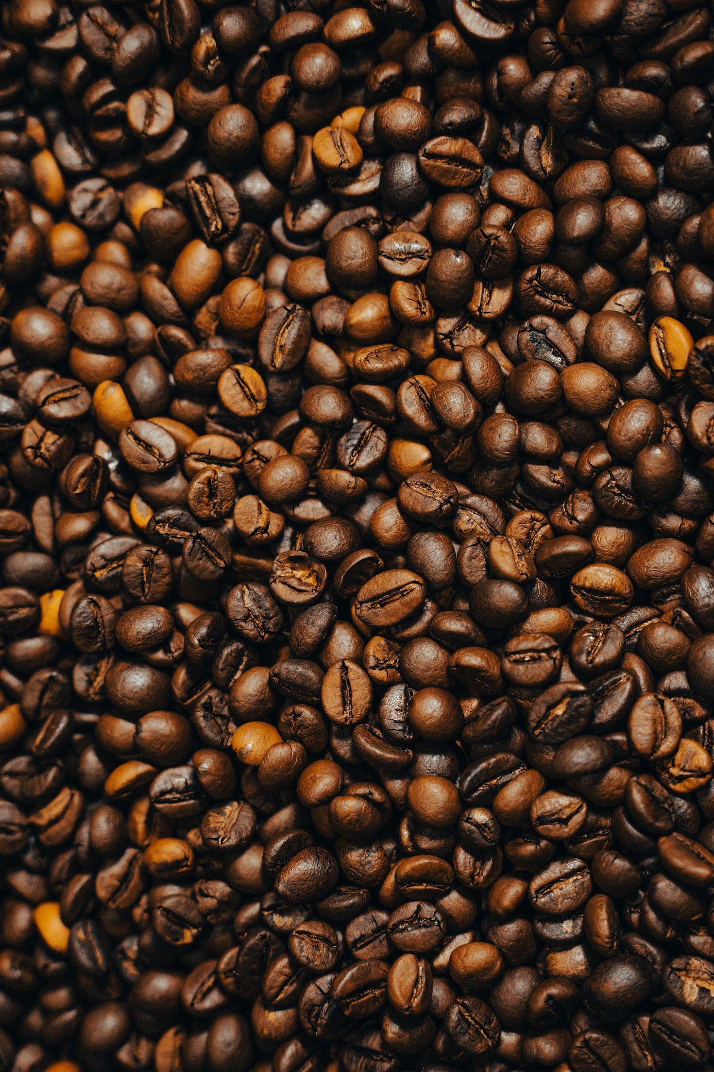 Descubre la magia del café artesanal mexicano